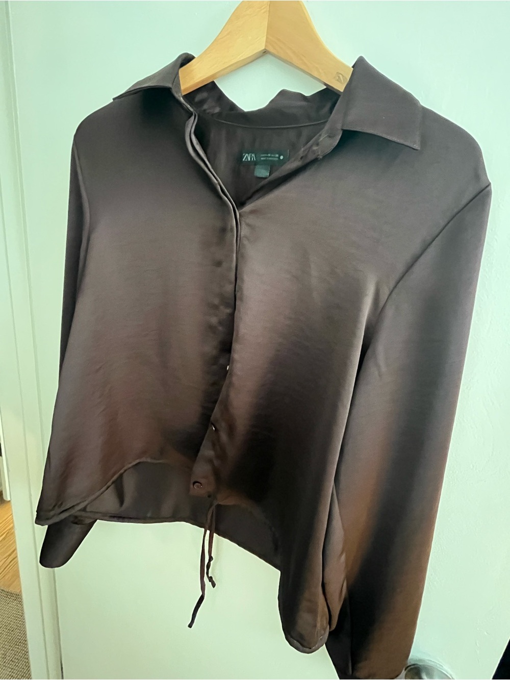ZARA Brown Satin Button-Front Blouse